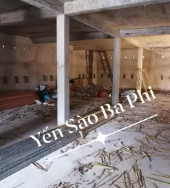 Đơn vị sửa chữa nhà yến tại Đắk Nông chuyên nghiệp