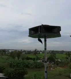 Thi công nhà yến LÀO