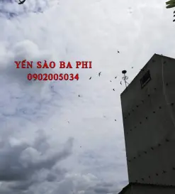 GIA LAI