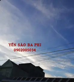 Thi công  nhà Yến TIỀN GIANG