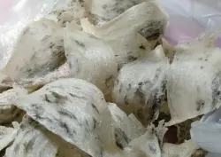 Yến thô