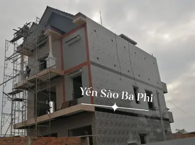 Khảo sát vị trí xây nhà yến có quan trọng không? Tìm hiểu ngay