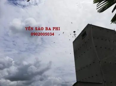 GIA LAI