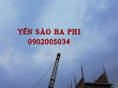 ĐỒNG THÁP