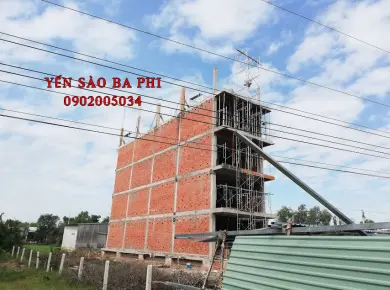 Thi công nhà yến LONG AN