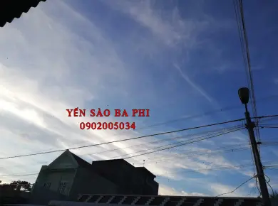 Thi công  nhà Yến TIỀN GIANG