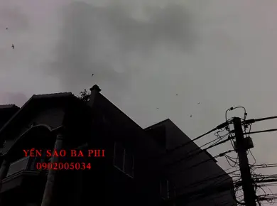 Thi công nhà yến TP. HỒ CHÍ MINH